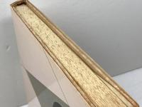 青野流近代棒銀 マイナビ出版(日本将棋連盟) 青野 照市