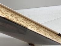 青野流近代棒銀 マイナビ出版(日本将棋連盟) 青野 照市