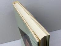 【著者サイン入り】疾風谷川将棋 マイナビ出版(日本将棋連盟) 谷川 浩司　