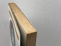 あなたの棋力をテストする. 1 永岡書店 石田芳夫