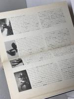 すべてはブラッドシンプルから始まった