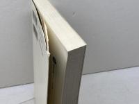 北の十字軍: ヨーロッパの北方拡大 (講談社選書メチエ 112) 講談社 山内 進