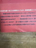 ハリウッドの密告者: 1950年代アメリカの異端審問 論創社 ヴィクター・S. ナヴァスキー