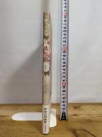 加藤美紀画集　百花妖炎 河出書房新社 加藤美紀