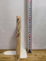 過ぎ去ろうとしない近代: ヨーロッパ再考 山川出版社 遅塚 忠躬