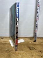 ザ・ジーンズ 2 (ワールド・ムック 289) ワールドフォトプレス