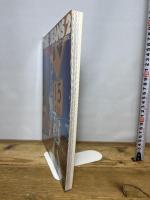 ザ・ジーンズ 2 (ワールド・ムック 289) ワールドフォトプレス