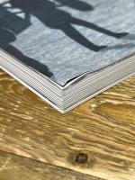 別冊太陽229 小林清親 (別冊太陽 日本のこころ 229) 平凡社 吉田 洋子