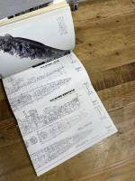 秋月型駆逐艦: 対空戦に威力を発揮した空母直衛艦の勇姿 (歴史群像 太平洋戦史シリーズ Vol. 23) 学研プラス 渡部義之