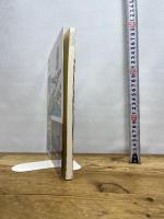 平成版江戸名所図会: 今、よみがえる江戸の町並みとぬくもり 日貿出版社 永井 伸八朗