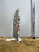 平成版江戸名所図会: 今、よみがえる江戸の町並みとぬくもり 日貿出版社 永井 伸八朗