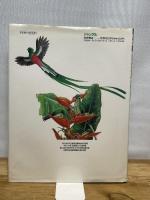 ジャングル (絵本図鑑シリーズ 14) 岩崎書店 松岡 達英