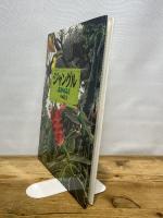 ジャングル (絵本図鑑シリーズ 14) 岩崎書店 松岡 達英