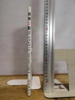 山田奈緒子フォトブック ~Naoko Yamada in TRICK~ 近代映画社