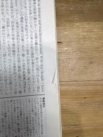 現代思想 1987年4月号 特集=機械じかけの心 人工知能の現象学 ●AIと哲学/村上陽一郎●機械の知識と人間の意識/E・ホーレンシュタイン●<対談>人間はどこまで機械か 青土社 D・デネット