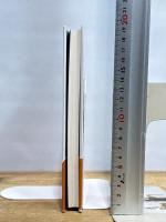 飛魂 講談社 多和田 葉子