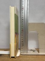 黄色い雨 ヴィレッジブックス フリオ リャマサーレス