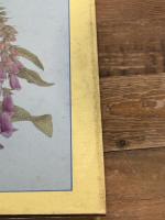 植物画の描きかた 八坂書房 キース ウエスト