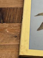 植物画の描きかた 八坂書房 キース ウエスト