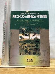 DNAから解き明かされる形づくりと進化の不思議