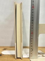 道元とヴィトゲンシュタイン ぺりかん社 春日 佑芳