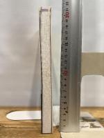 磯採集ガイドブック: 死滅回遊魚を求めて CEメディアハウス 荒俣 宏