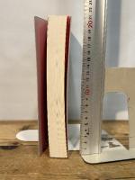 描かれた明治ニッポン　石版画(リトグラフ)の時代　［図録］ 描かれた明治ニッポン展実行委員会 河野 実，森登，大島寛子　編