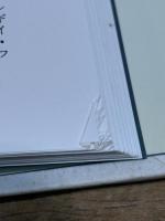 聖なるロシアを求めて: 旧教徒のユートピア伝説 平凡社 中村 喜和