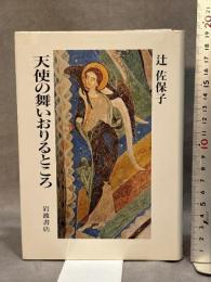 天使の舞いおりるところ 岩波書店 辻 佐保子