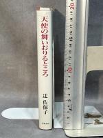 天使の舞いおりるところ 岩波書店 辻 佐保子