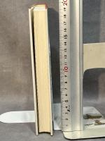 天使の舞いおりるところ 岩波書店 辻 佐保子