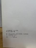 甲斐庄楠音画集―ロマンチック・エロチスト 求龍堂 甲斐庄 楠音