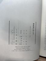 懐風藻の詩と文 汲古書院 川上 萌実