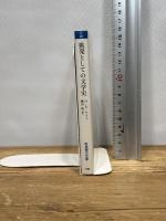 挑発としての文学史 (岩波現代文庫 学術 66)