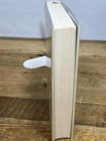 水道方式入門 (整数編) (現代教育101選 45) 国土社