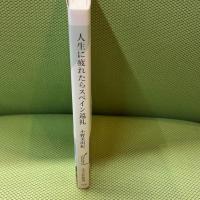 人生に疲れたらスペイン巡礼　飲み、食べ、歩く８００キロの旅 (光文社新書) 光文社 小野 美由紀
