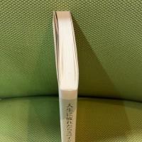 人生に疲れたらスペイン巡礼　飲み、食べ、歩く８００キロの旅 (光文社新書) 光文社 小野 美由紀