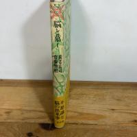 脳と墓 1 (叢書・死の文化 13) 弘文堂 養老 孟司