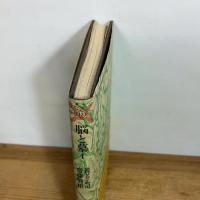脳と墓 1 (叢書・死の文化 13) 弘文堂 養老 孟司