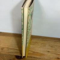 脳と墓 1 (叢書・死の文化 13) 弘文堂 養老 孟司
