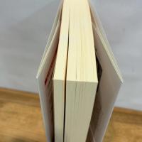 日本像の起源 つくられる〈日本的なるもの〉 (角川選書 653) KADOKAWA 伊藤 聡