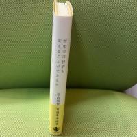 歴史学は世界を変えることができるか 岩波書店 松沢 裕作