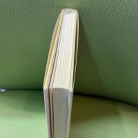 歴史学は世界を変えることができるか 岩波書店 松沢 裕作