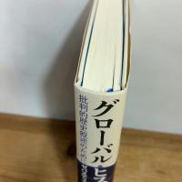 グローバル・ヒストリー: 批判的歴史叙述のために 岩波書店 ゼバスティアン・コンラート
