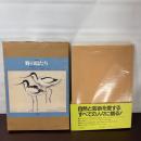 野の鳥たち 素描集 ある画家のフィールド・スケッチ 1980年 ノーブランド品
