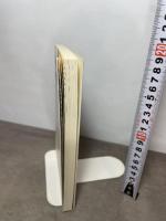 未来の智恵シリーズ2 波動の報告書 －足立育朗の世界－