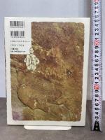 古ヨーロッパの神々 新装版 言叢社 マリヤ ギンブタス