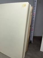 明治の探偵小説 晶文社 伊藤 秀雄