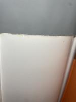 茶箱広重 (小学館叢書 一ノ関圭作品集 2) 小学館 一ノ関 圭