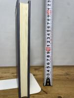 パリ、戦時下の風景 西田書店 大崎 正二